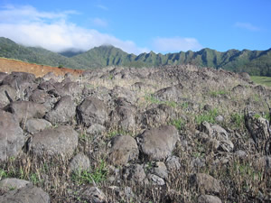 Haleauau Heiau